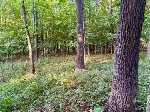 00 County Farm Rd, Kell, IL 62853 photo 11