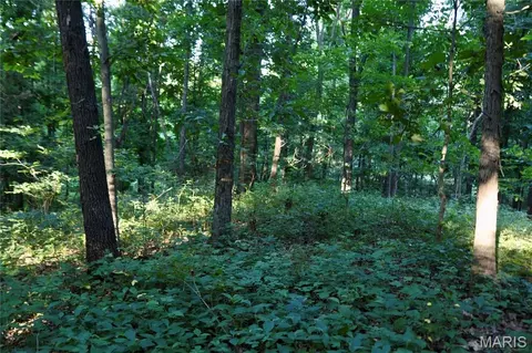 00 County Farm Rd, Kell, IL 62853 photo 19