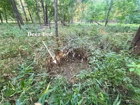 00 County Farm Rd, Kell, IL 62853 photo 24