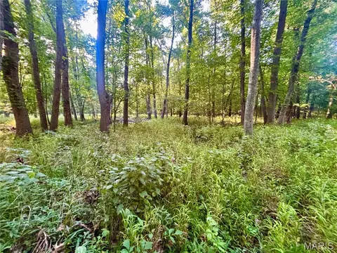 00 County Farm Rd, Kell, IL 62853 photo 23