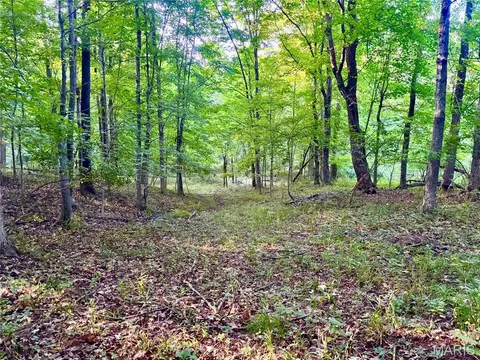 00 County Farm Rd, Kell, IL 62853 photo 15
