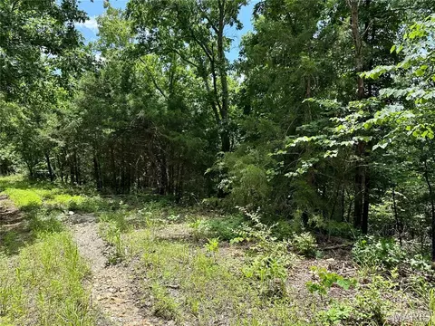 tbd Bluebird Ln, Rolla, MO 65401 photo 1