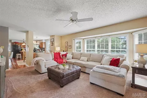Living - 307 Camilla Dr, O'fallon, MO 63366 photo 4 of 4