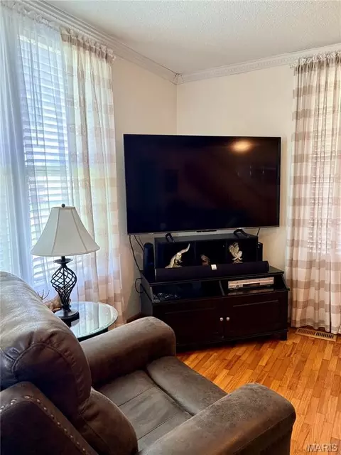 303 E Davidson Ave, Chaffee, MO 63740 photo 14
