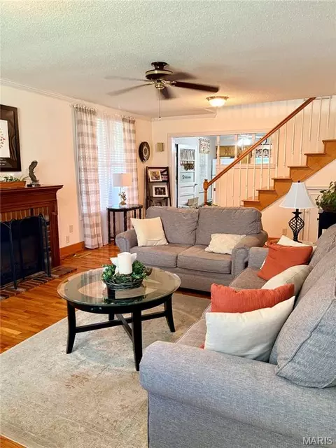 303 E Davidson Ave, Chaffee, MO 63740 photo 13
