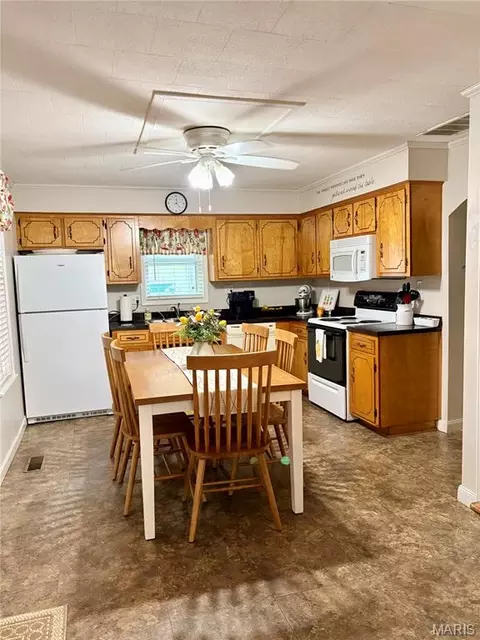 303 E Davidson Ave, Chaffee, MO 63740 photo 19