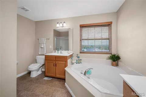 Bath - 672 Berrywine Ln, Arnold, MO 63010 photo 1 of 3