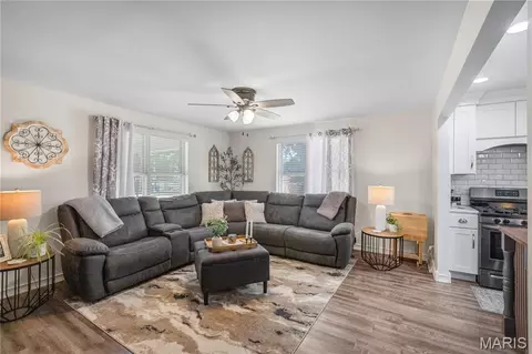 Other - 701 Vine St, Festus, MO 63028 photo 4 of 13