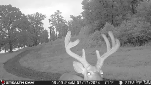Other - 193 Mcfarland Hl, Tecumseh, MO 65760 photo 30 of 33