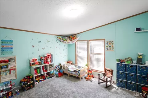 131 E Springfield Ave, Gerald, MO 63037 photo 11