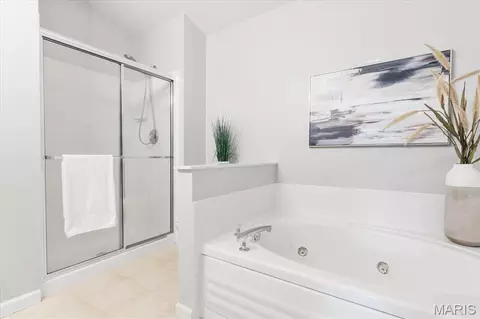 Bath - 612 Hawk Run Dr #61A, O'fallon, MO 63368 photo 1 of 4