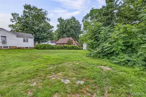 Exterior - 310 Moore St, Festus, MO 63028 photo 4 of 8