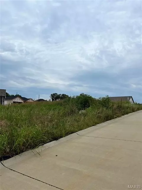 531 Steeplechase Rd, Jackson, MO 63703 photo 1