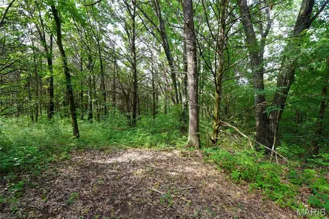Other - 1971 Epple Rd, Hermann, MO 65041 photo 11 of 24