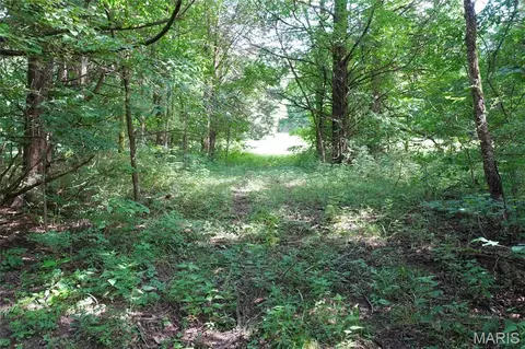 Other - 1971 Epple Rd, Hermann, MO 65041 photo 9 of 24