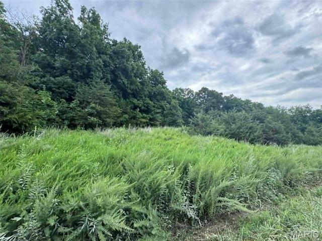 0 Walnut Street Pl, New London, MO 63459
