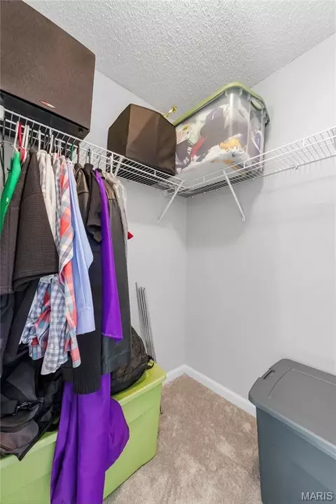 Other - 2703 Angle Gate Cir, O'fallon, MO 63368 photo 11 of 24
