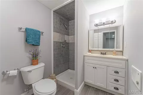 Bath - 1405 Birch Dr, Pacific, MO 63069 photo 2 of 2