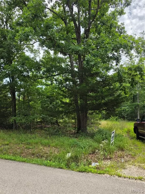 23675 Grandview Rd, Lebanon, MO 65536