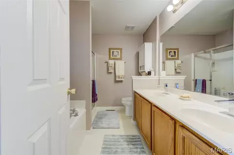 Bath - 1236 Saint Matthew Ave, O'fallon, MO 63366 photo 1 of 3