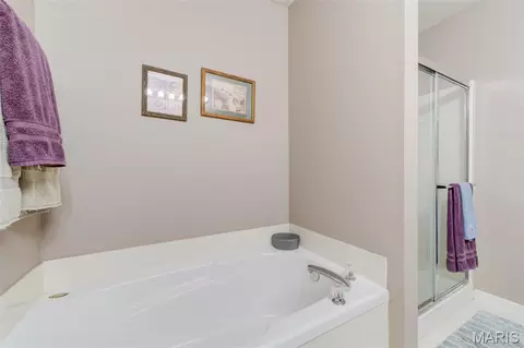 Bath - 1236 Saint Matthew Ave, O'fallon, MO 63366 photo 2 of 3