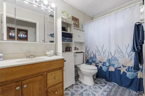 Bath - 10150 Demick Dr, Mineral Point, MO 63660 photo 1 of 2