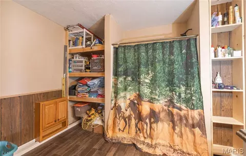 Other - 12855 Chicago Rd, Dixon, MO 65459 photo 5 of 14