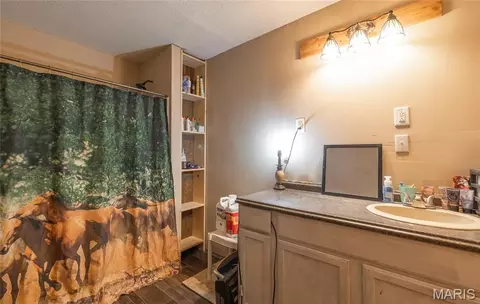 Bath - 12855 Chicago Rd, Dixon, MO 65459 photo 1 of 1