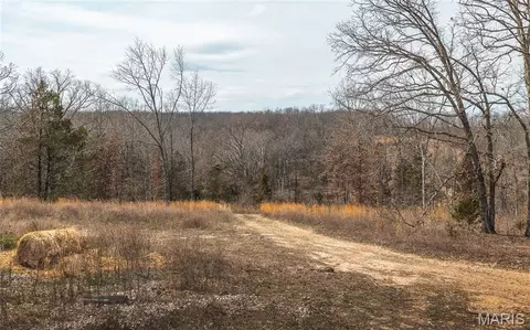 Other - 12855 Chicago Rd, Dixon, MO 65459 photo 3 of 14