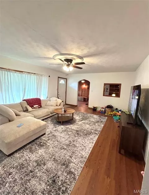 Other - 303 Davis, Ava, IL 62907 photo 2 of 5