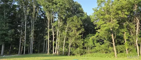 Other - 3061 Old Highway A, Festus, MO 63028 photo 5 of 16