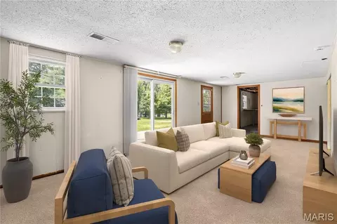 Other - 1316 Thomas Dr, Festus, MO 63028 photo 6 of 10