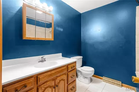 Bath - 1316 Thomas Dr, Festus, MO 63028 photo 1 of 3