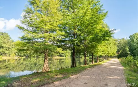 Other - 17340 County Road 252, Bloomfield, MO 63825 photo 2 of 24