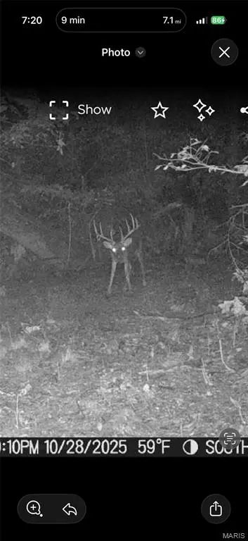 Other - 17340 County Road 252, Bloomfield, MO 63825 photo 24 of 24