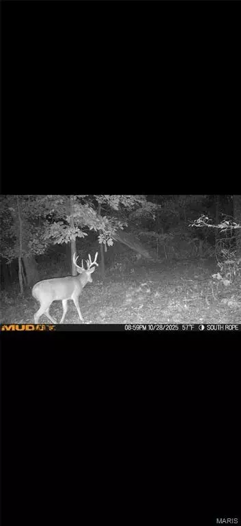 Other - 17340 County Road 252, Bloomfield, MO 63825 photo 23 of 24