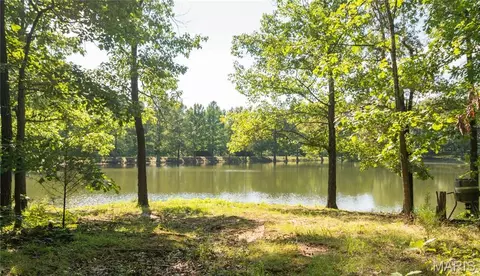 View/Area - 17340 County Road 252, Bloomfield, MO 63825 photo 11 of 13