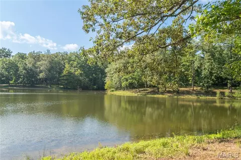 View/Area - 17340 County Road 252, Bloomfield, MO 63825 photo 4 of 13