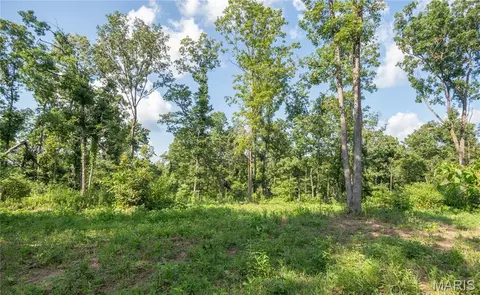 Other - 17340 County Road 252, Bloomfield, MO 63825 photo 12 of 24