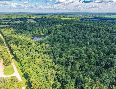 View/Area - 17340 County Road 252, Bloomfield, MO 63825 photo 5 of 13