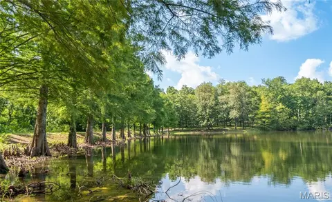 View/Area - 17340 County Road 252, Bloomfield, MO 63825 photo 3 of 13