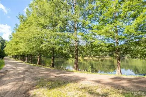Other - 17340 County Road 252, Bloomfield, MO 63825 photo 9 of 24