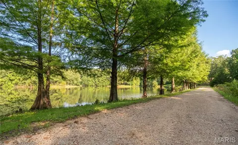 Other - 17340 County Road 252, Bloomfield, MO 63825 photo 18 of 24
