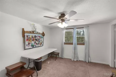 Other - 16343 Shady Mount Dr, Dexter, MO 63841 photo 4 of 7