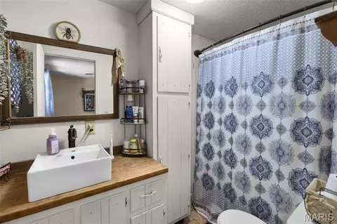 Bath - 16343 Shady Mount Dr, Dexter, MO 63841 photo 2 of 2
