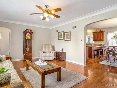 Living - 719 Waterloo Dr, Waterloo, IL 62298 photo 2 of 3