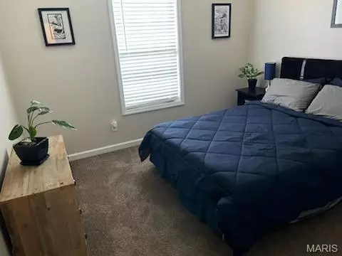 385 Spring Hill Rd, Jackson, MO 63755 photo 5