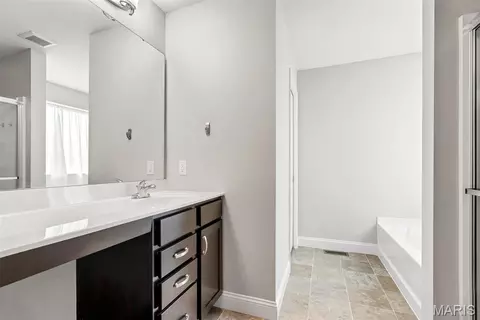 Bath - 225 Thorn Brook Dr, O'fallon, MO 63366 photo 1 of 3