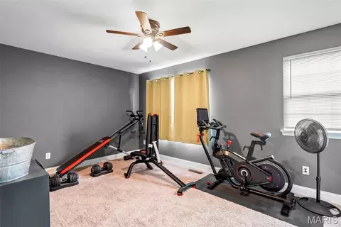 Other - 225 Thorn Brook Dr, O'fallon, MO 63366 photo 10 of 10