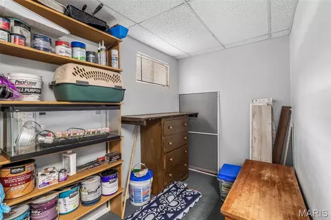 3981 Plass Rd, Festus, MO 63028 photo 34